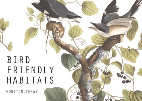 Bird Friendly Habitats