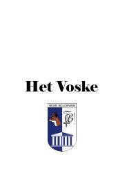 Voske 2.11