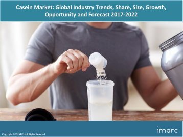 Global Casein Market Price, Size and Forecast 2017-2022