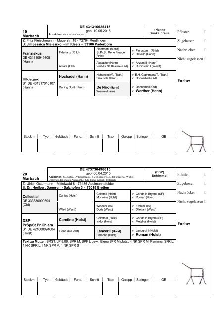 Katalog Hengstvorbesichtigungen Marbach/Donzdorf 2017 Ba-Wü