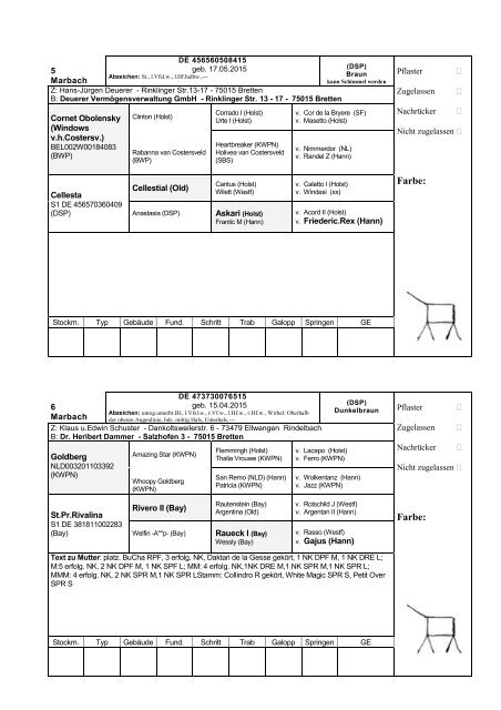 Katalog Hengstvorbesichtigungen Marbach/Donzdorf 2017 Ba-Wü