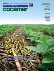 Jornal Cocamar Novembro 2017 (2)