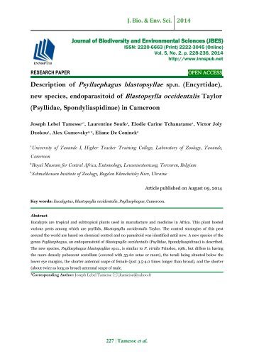 Description of Psyllaephagus blastopsyllae sp.n. (Encyrtidae), new species, endoparasitoid of Blastopsylla occidentalis Taylor (Psyllidae, Spondyliaspidinae) in Cameroon