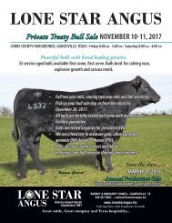 Lone Star Angus Fall Bull Sale Catalog