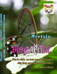 Revista 2017