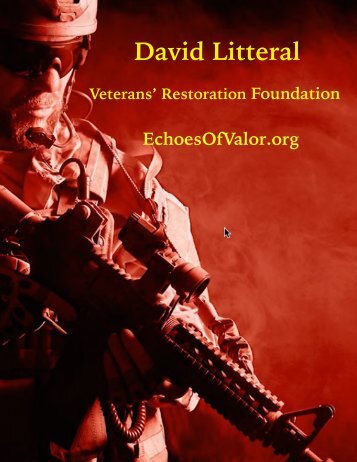 Davide Litteral VRF
