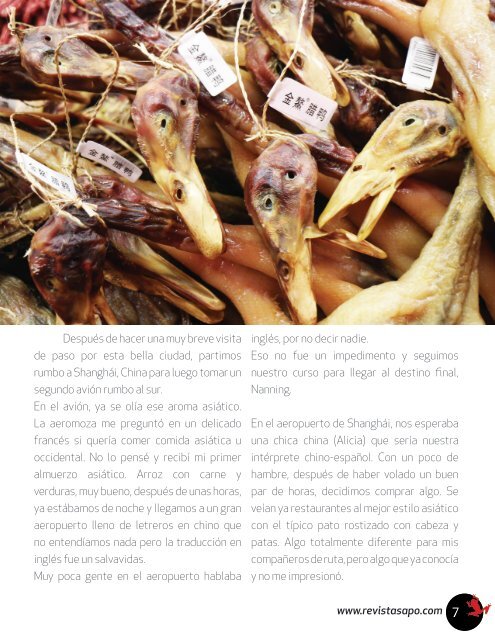 REVISTA SAPO GOURMET 10 