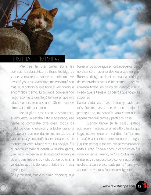 REVISTA SAPO CUENTOS 01