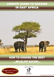 Agent's Guide To Safaris in East Africa