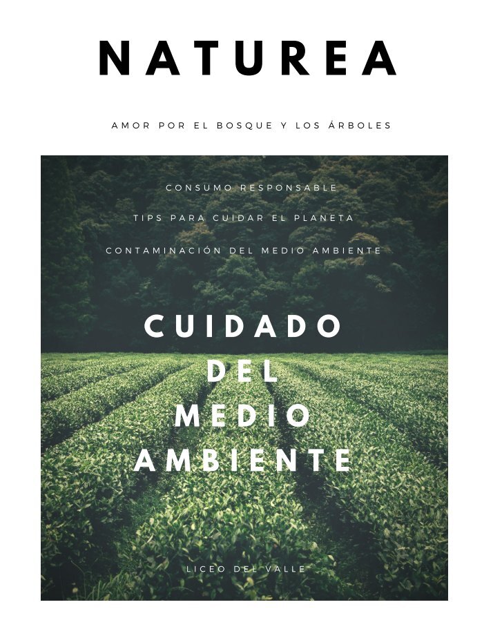 Dendrofilia Magazines