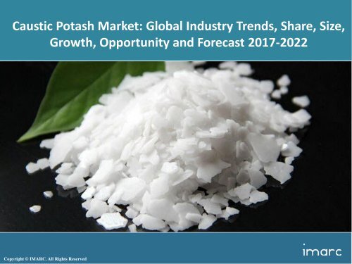 Global Caustic Potash Market Share, Size and Forecast 2017-2022