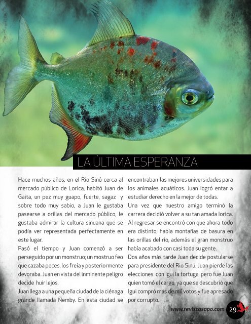 REVISTA SAPO CUENTOS 02