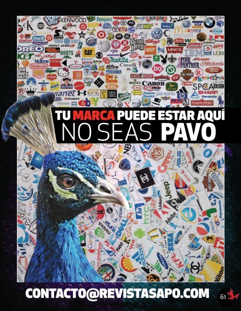 REVISTA SAPO CUENTOS 02