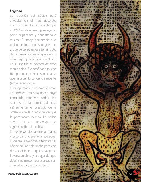 REVISTA SAPO MISTERIO 01