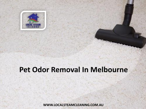 Pet Odor Removal In Melbourne