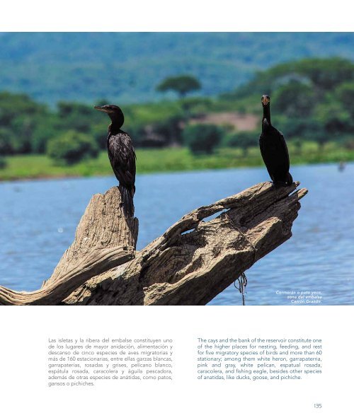 Rio Lempa | Riqueza y Majestuosidad