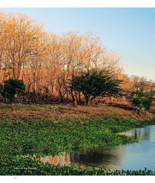 Rio Lempa | Riqueza y Majestuosidad