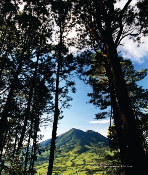 Vida y Paisaje