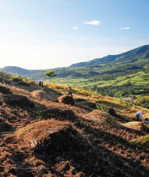 Vida y Paisaje