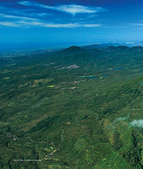 Vida y Paisaje