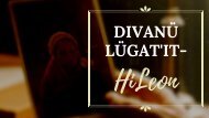 Divanü Lügatit Hileon