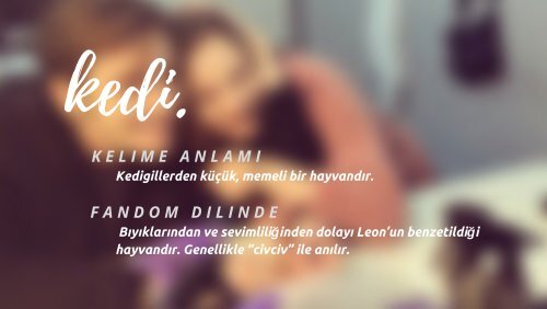 Divanü Lügatit Hileon