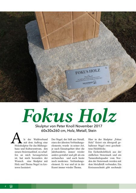 20171107_Fokus Holz