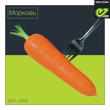 Морковь 2017 | 2018