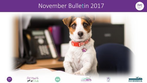 November Bulletin Done