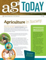 Ag Today: Issue 4
