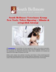 South Bellmore Veterinary Group New York, Tokyo Opening - Allmän & ortopedisk kirurgi