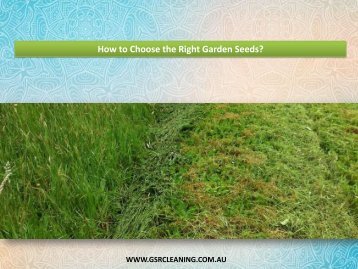 How to Choose the Right Garden Seeds?