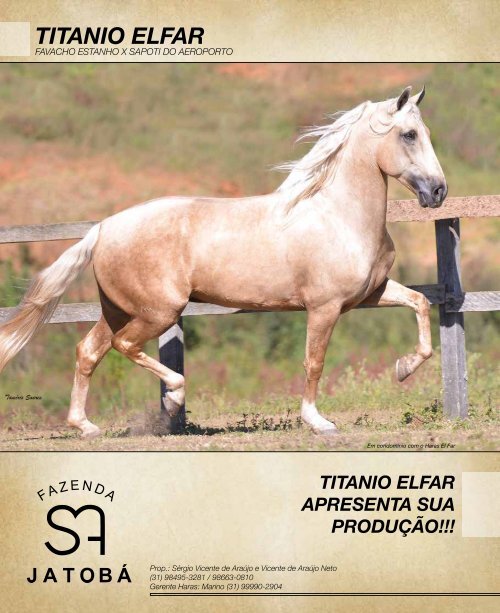 Revista completa 36