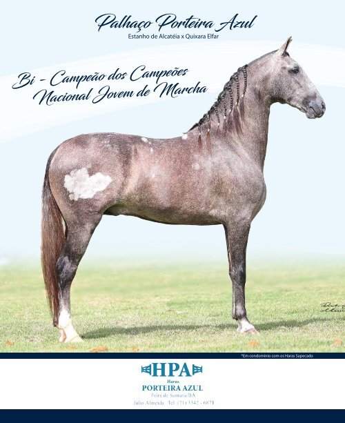 Revista completa 36