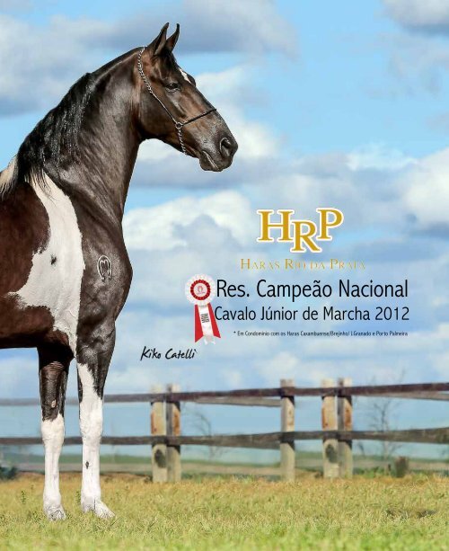 Revista completa 36