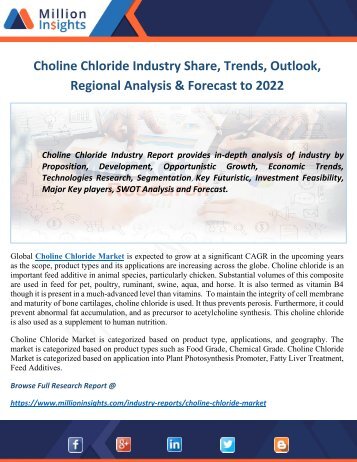 Choline Chloride Market – Strategy, Growth, Opportunity, Trends & Forecasts Report to 2022