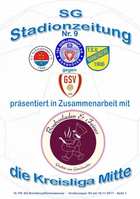TSV  Stadionzeitung 9-2017-191117