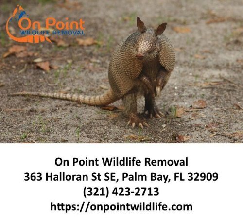 On Point Wildlife Removal - Melbourne FL