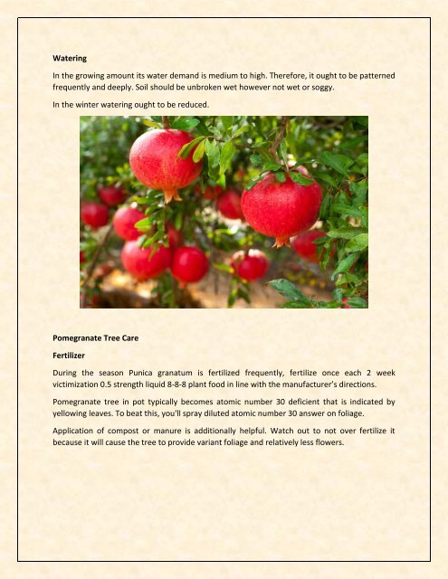 Things You Need To Learn About Growing Pomegranate Tree in Pot