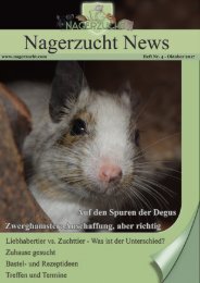 Newsletter - Oktober 2017