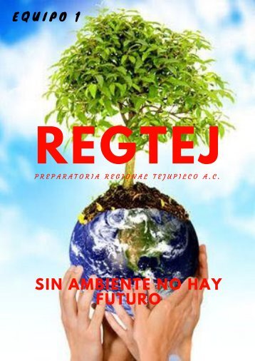 REVISTA REGTEJ