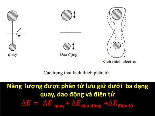 TRÌNH BÀY CƠ SỞ PHỔ PHÂN TỬ VÀ ỨNG DỤNG TRONG PHÂN TÍCH VẬT CHẤT