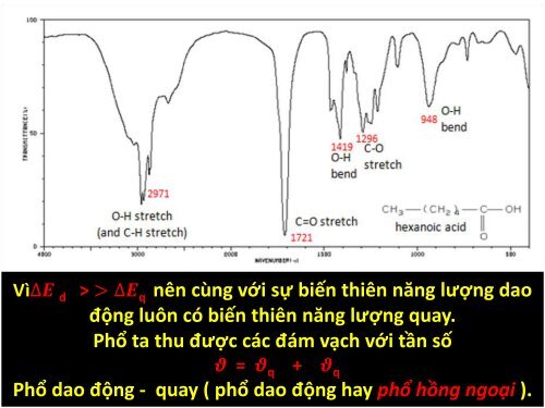 TRÌNH BÀY CƠ SỞ PHỔ PHÂN TỬ VÀ ỨNG DỤNG TRONG PHÂN TÍCH VẬT CHẤT