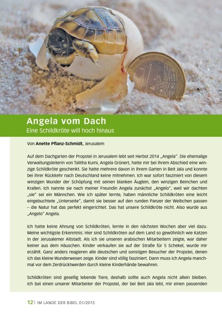 Im Lande der Bibel 1/2015