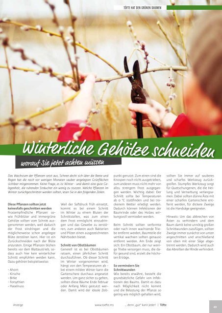 Töfte Regionsmagazin 02/2017 - Zweirad-Spezial