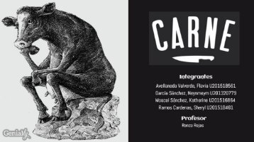 Agencia Carne - Publicidad