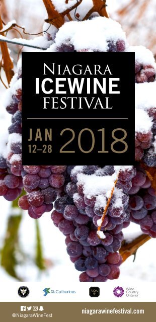 Niagara Icewine Festival Guide