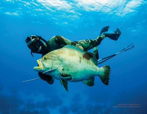 Headhunter Spearfishing 2018 Catalog