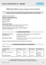BAUER COMPRESSOR OIL N30387 - Bauer Kompressoren