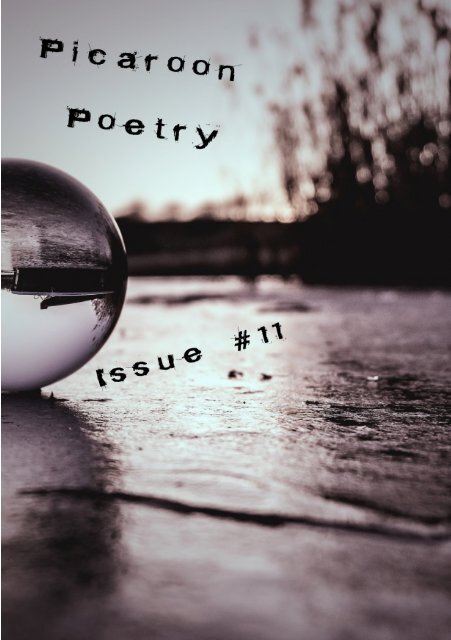 Picaroon - Issue #11 - November 2017